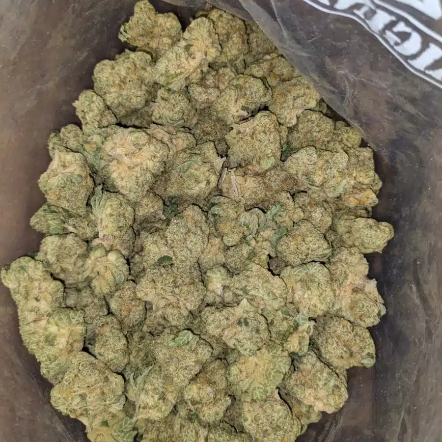 $42oz White Runtz