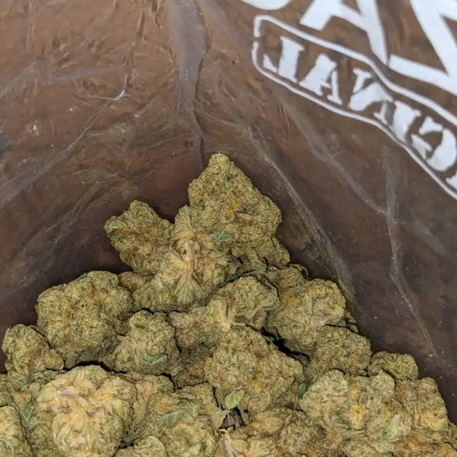 Alternative view of $42oz White Runtz