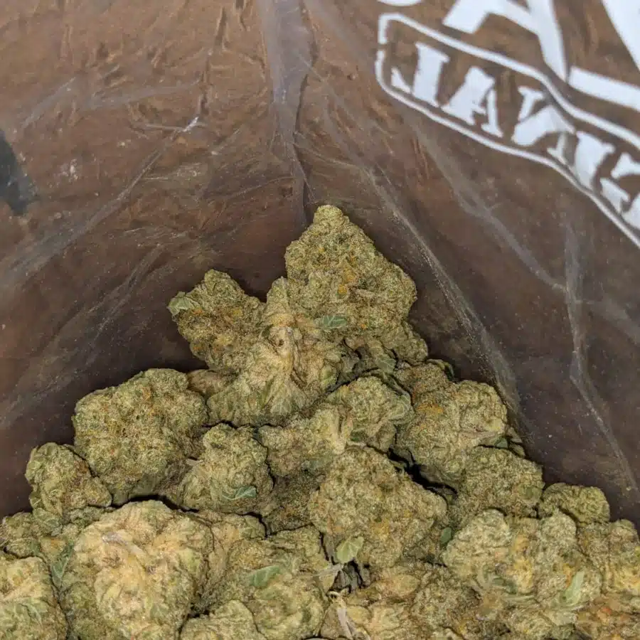 42 Oz White Runtz 4 I $42oz White Runtz