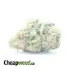$ 55 Oz - Animal Crackers