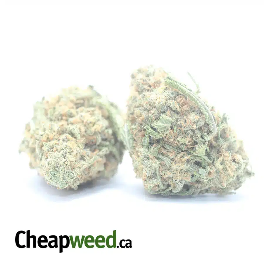 ANIMAL CRACKERS 3 I $ 55 Oz - Animal Crackers