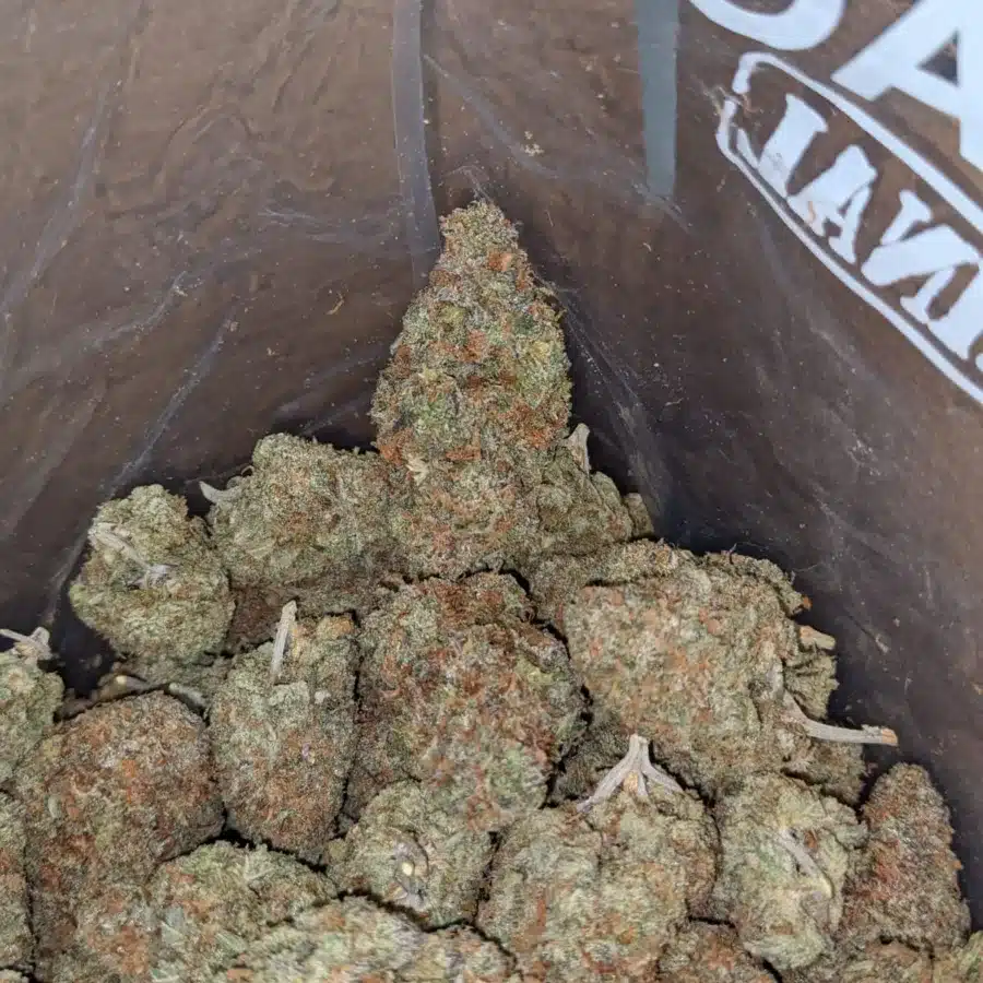 Agent Orange 1 I Agent Orange