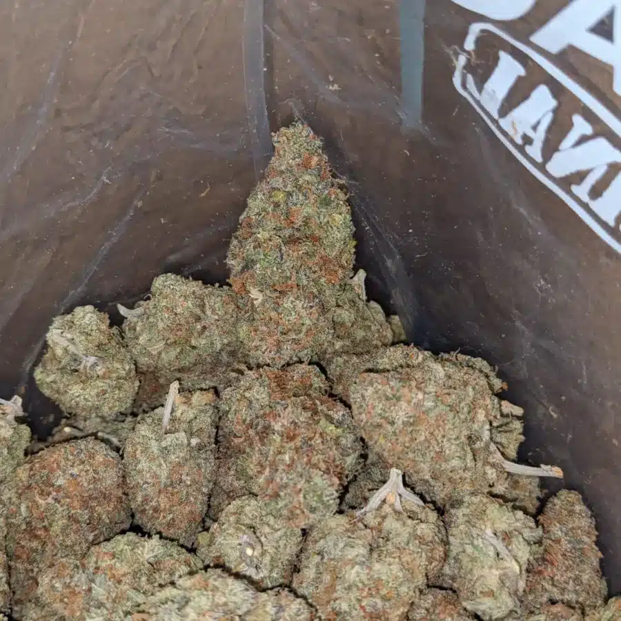 Agent Orange 4 I Agent Orange