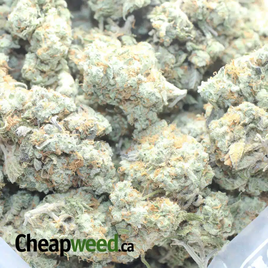 CRUNCHBERRY 3 I $ 55 Oz - Crunchberries