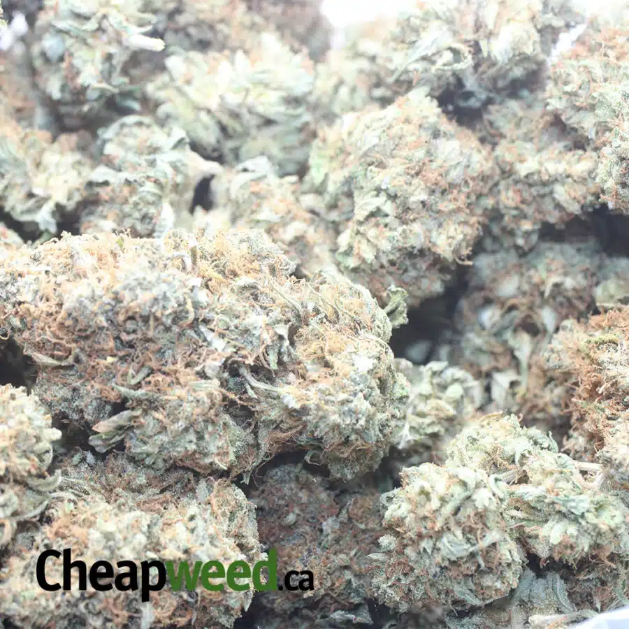 DEATH STAR 1 1 I $ 84 Oz - Death Star