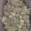 Death Comatose #2