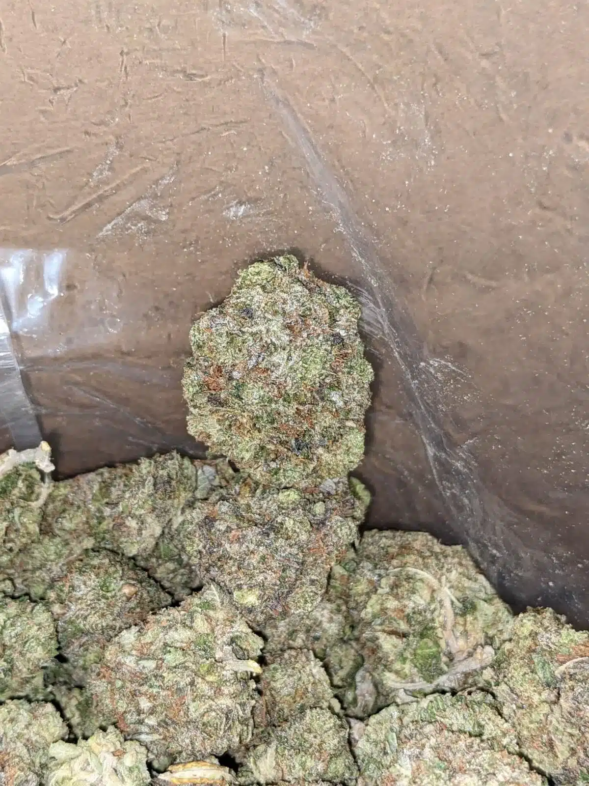 Death Comatose #2 - Image 5