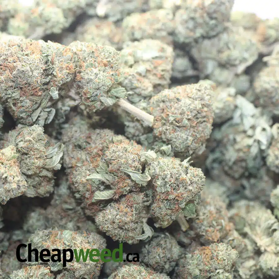 GREENFARMS DEATH BUBBA 1 I $ 79 Oz - Death Bubba AAA
