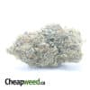 Greenfarm's Rockstar