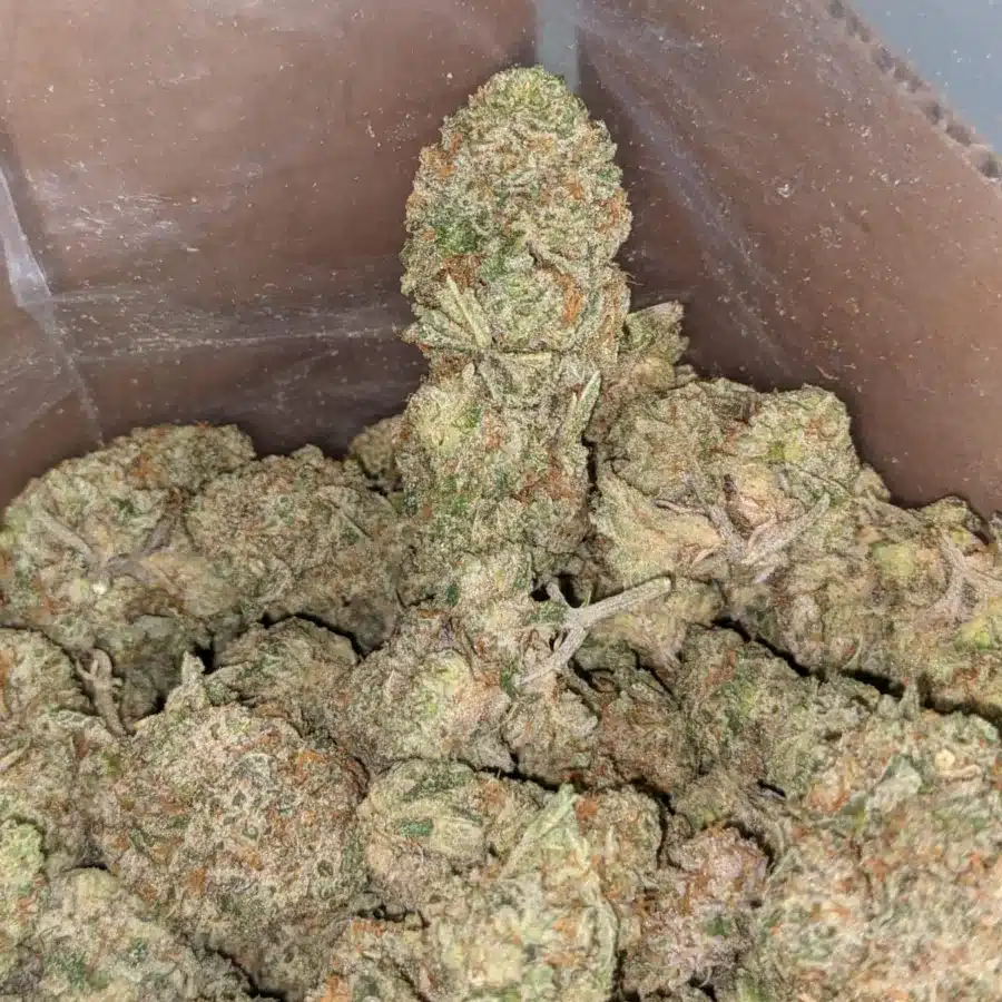 Goudaberry 2 I Goudaberry