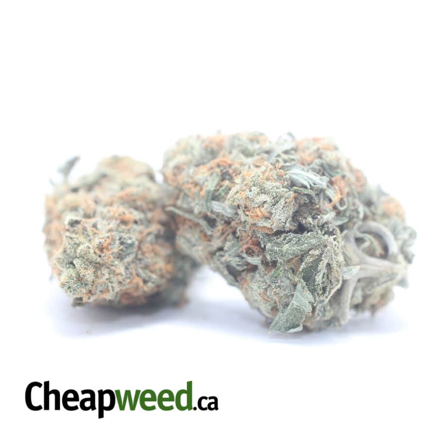 HEADBAND OG 3 I Headband OG