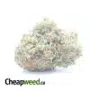Jack Frost #2