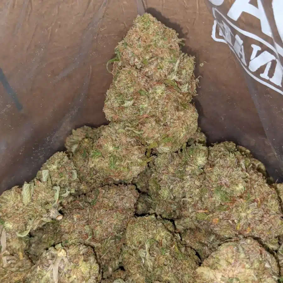 JUICY FRUIT 2 I Cannalope Haze