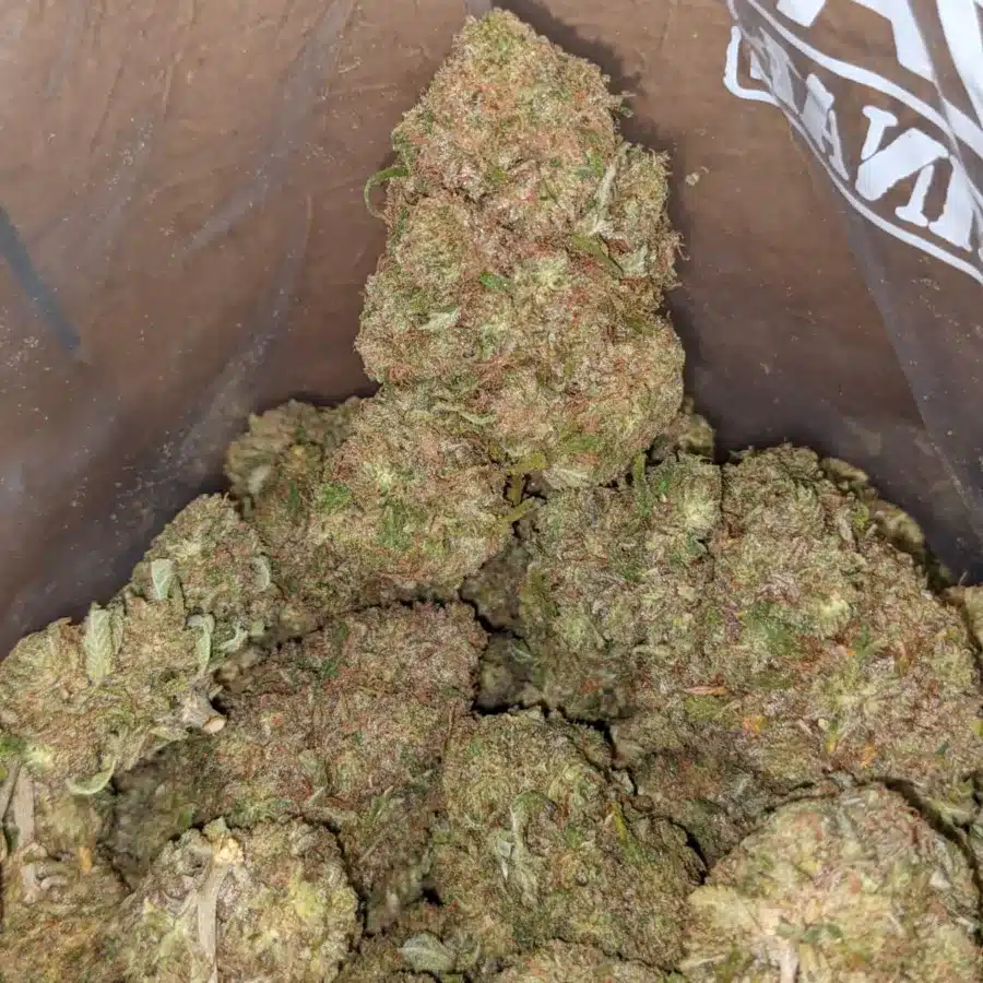 JUICY FRUIT 3 I Cannalope Haze