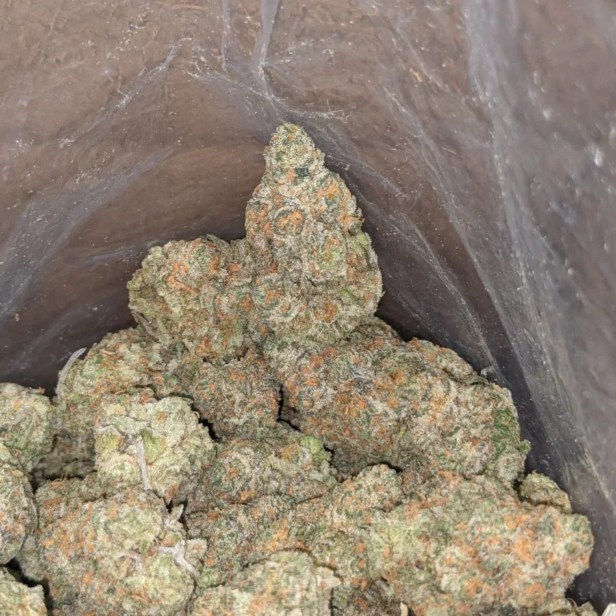 Moby dick 1 I Moby Dick