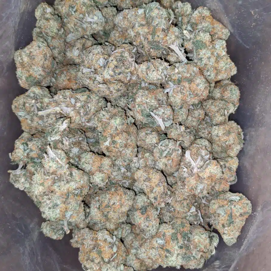 Orange cookies 1 I Orange Cookies