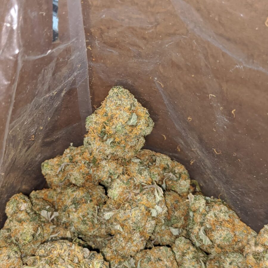 Orange cookies 2 I Fatso