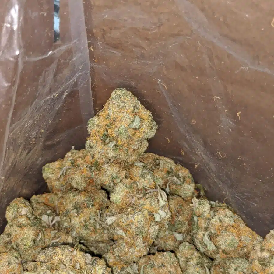 Orange cookies 2 I Orange Cookies
