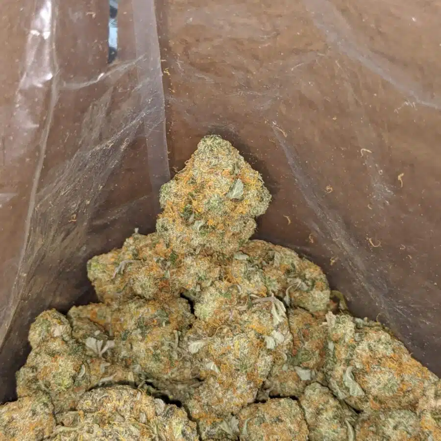 Orange cookies 3 I Orange Cookies