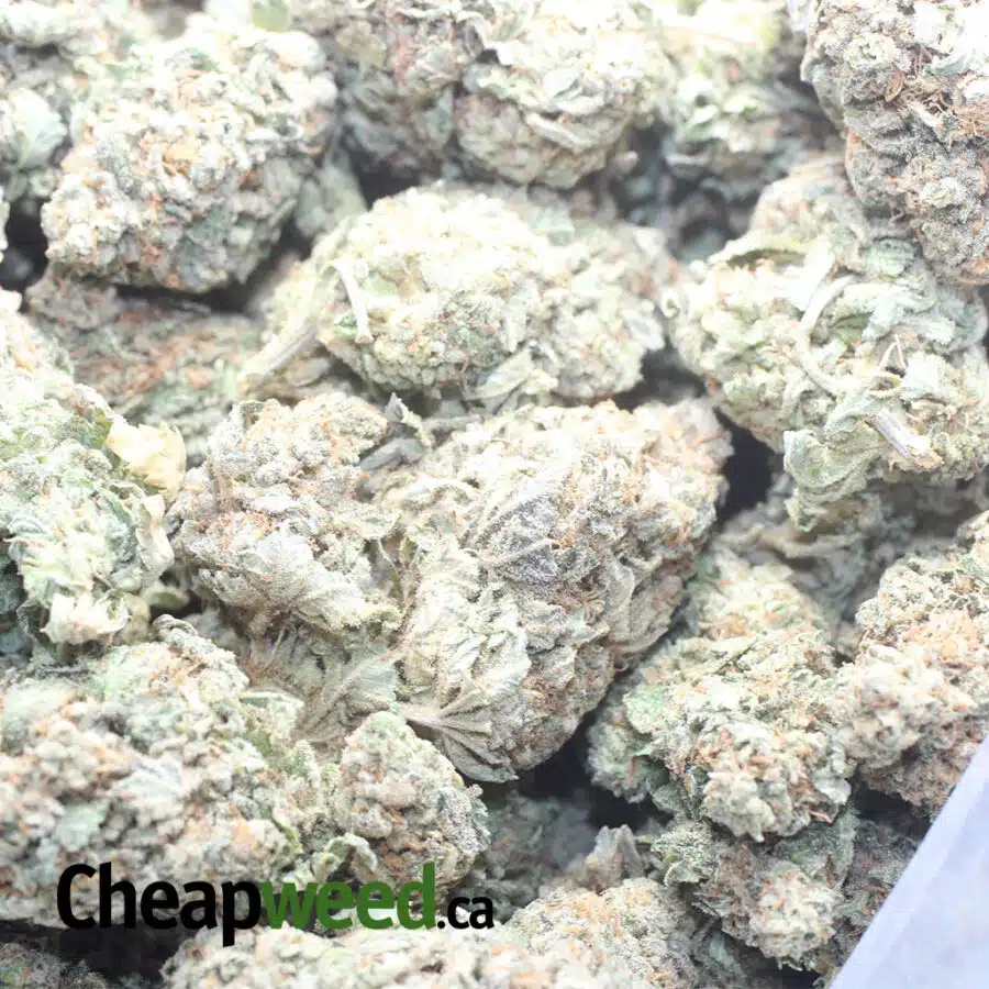 PINEAPPLE KUSH 1 I $ 54 Oz - Pineapple Kush