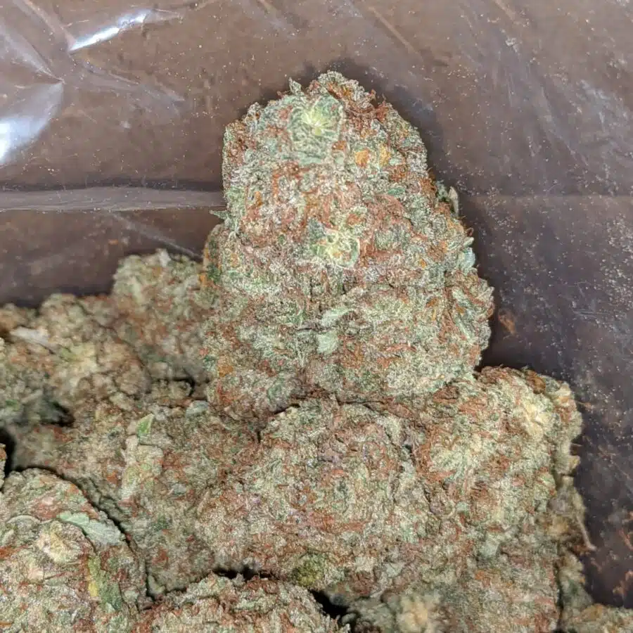Peach Kush 1 I Peach Kush