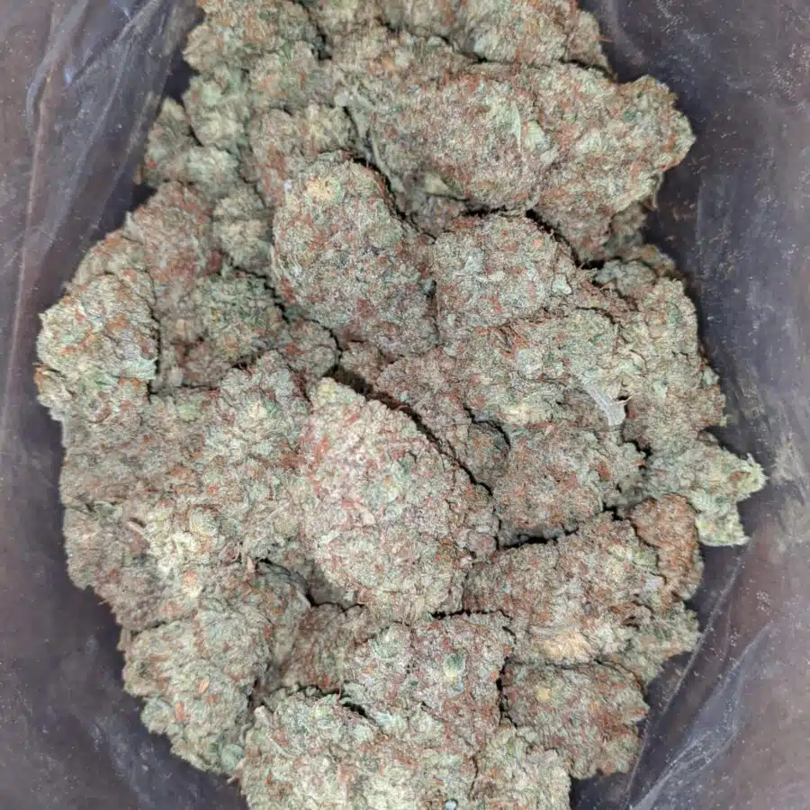 Peach Kush 3 I Peach Kush
