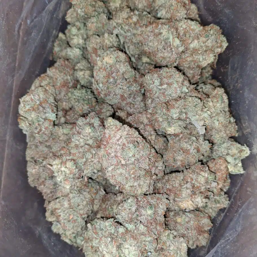 Peach Kush 4 I Peach Kush