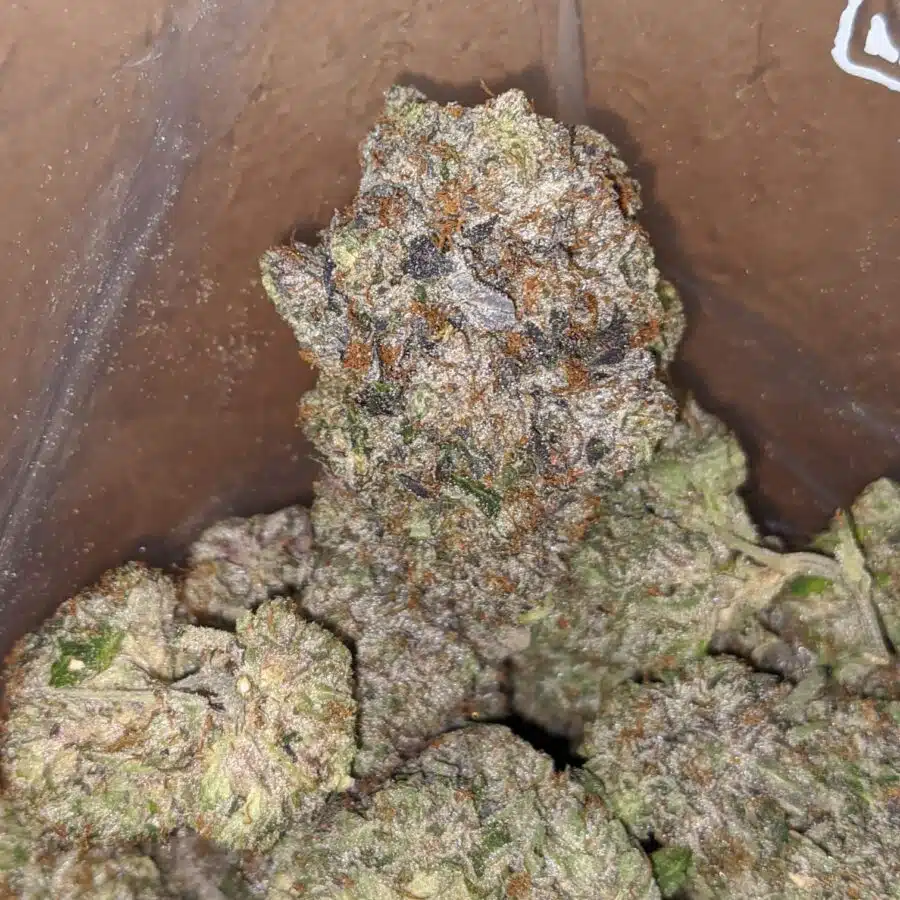 Platinum pink rockstar 1 I Platinum Rockstar Pink