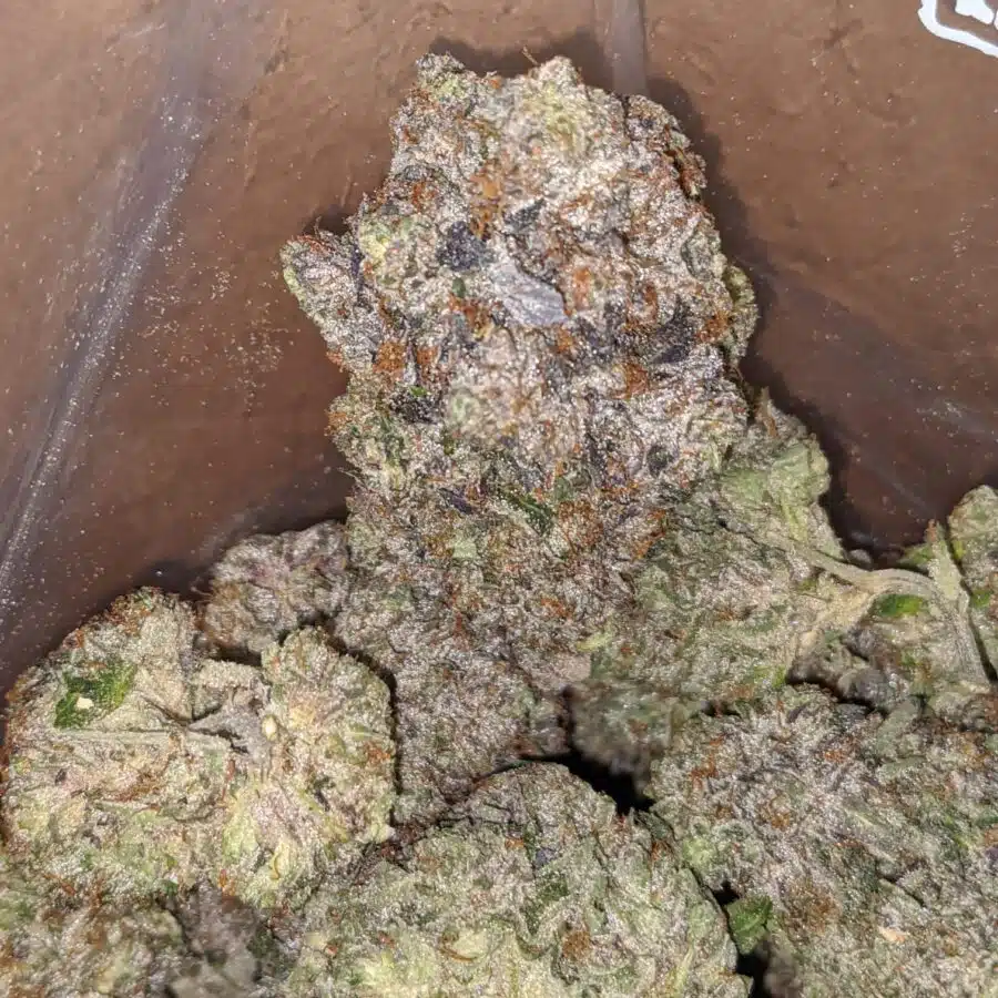 Platinum pink rockstar 2 I Platinum Rockstar Pink