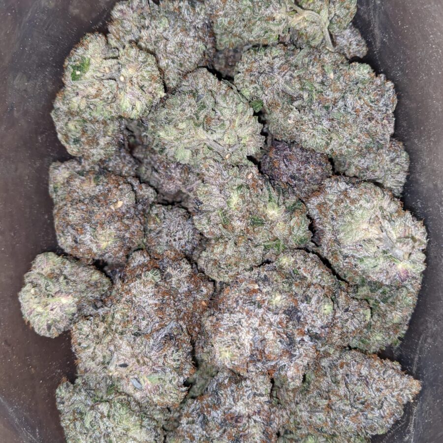 Platinum Rockstar Pink - Image 5