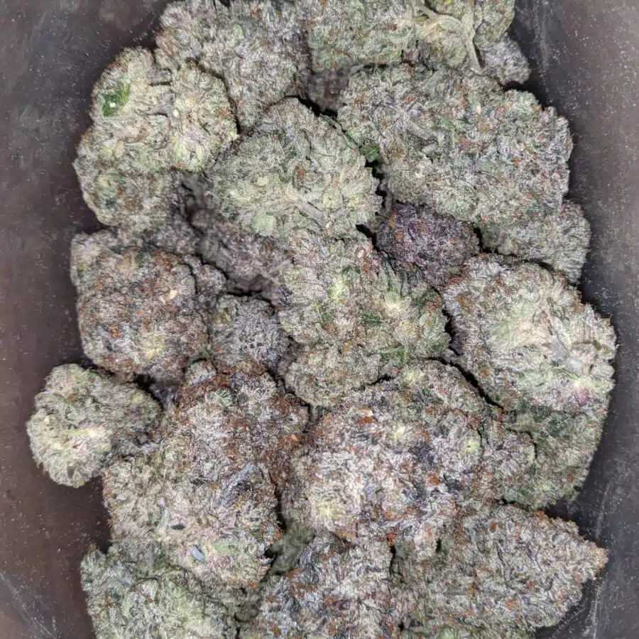 Platinum pink rockstar 3 I Platinum Rockstar Pink
