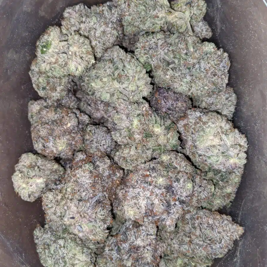 Platinum pink rockstar 4 I Platinum Rockstar Pink