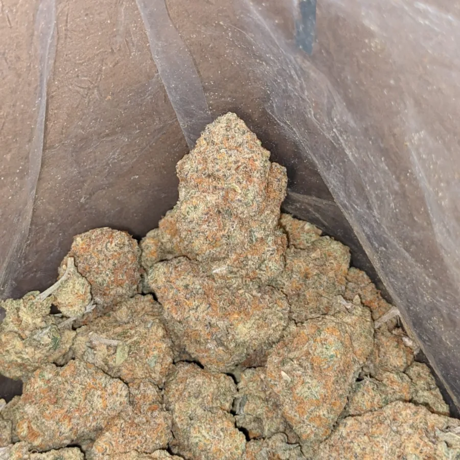 Pot of gold 1 I Pot Of Gold