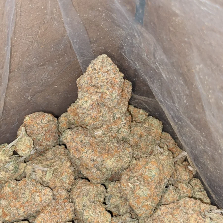 Pot of gold 3 I Pot Of Gold
