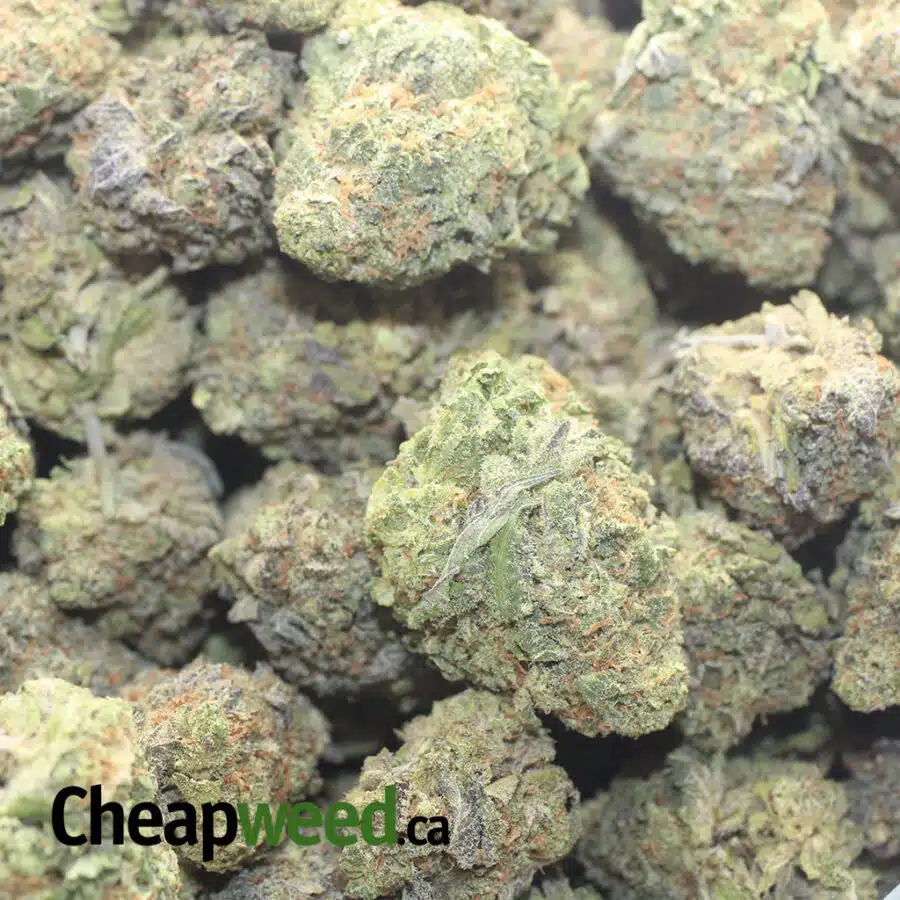 SUPER PINK 1 I $ 55 Oz - Super Pink