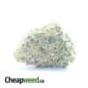 $ 55 Oz - Super Pink