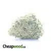 $ 55 Oz - Super Pink