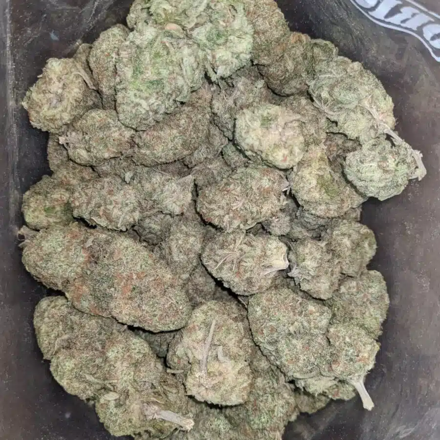 Sherbet 1 I Sherbet