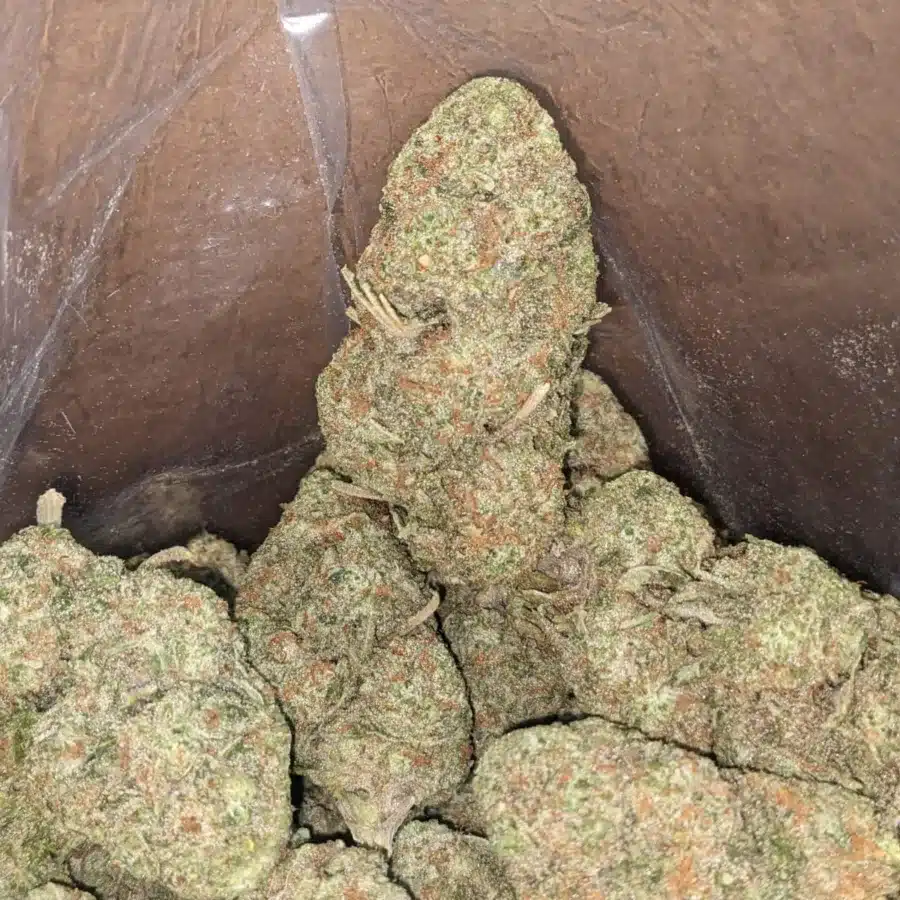 Sherbet 2 I Sherbet