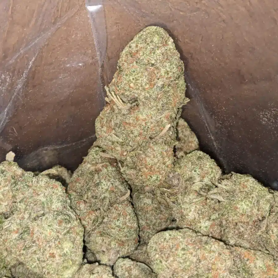 Sherbet 3 I Sherbet