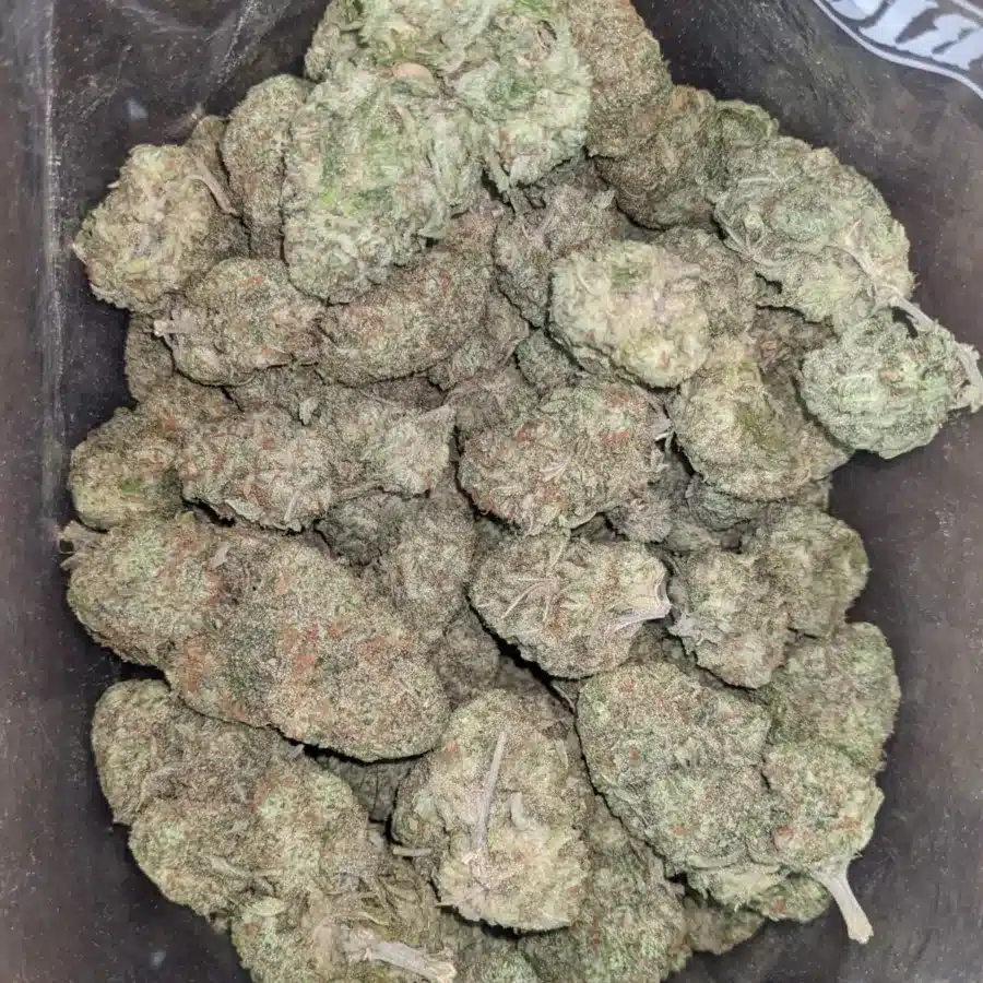 Sherbet 4 I Sherbet