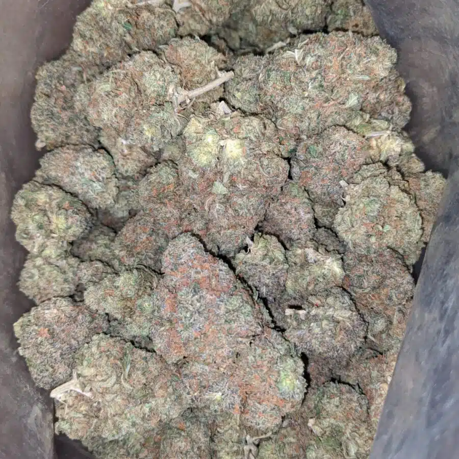 Skittles 1 I $ 59 Oz - Zkittles