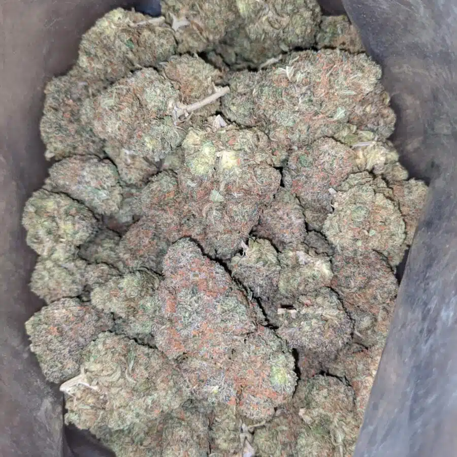 Skittles 3 I $ 59 Oz - Zkittles