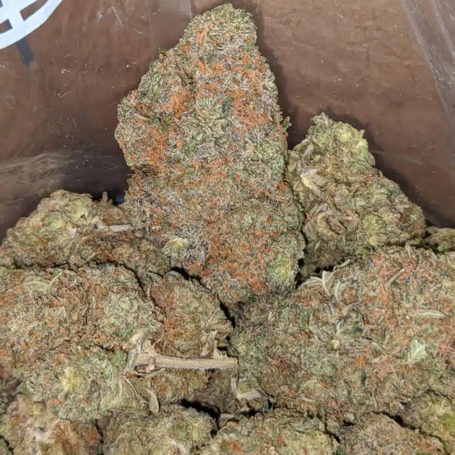 Skittles 4 I $ 59 Oz - Zkittles