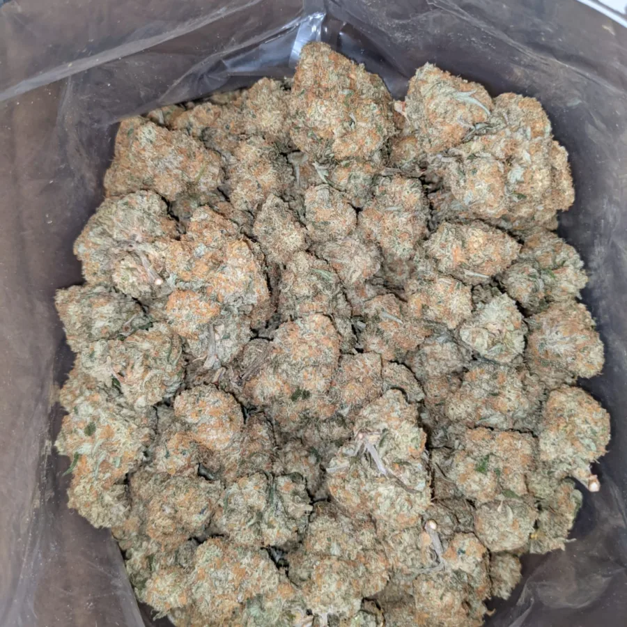 Sundea driver 1 I $ 45 Oz - Sundae Driver