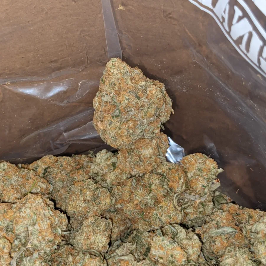 Sundea driver 3 I $ 45 Oz - Sundae Driver