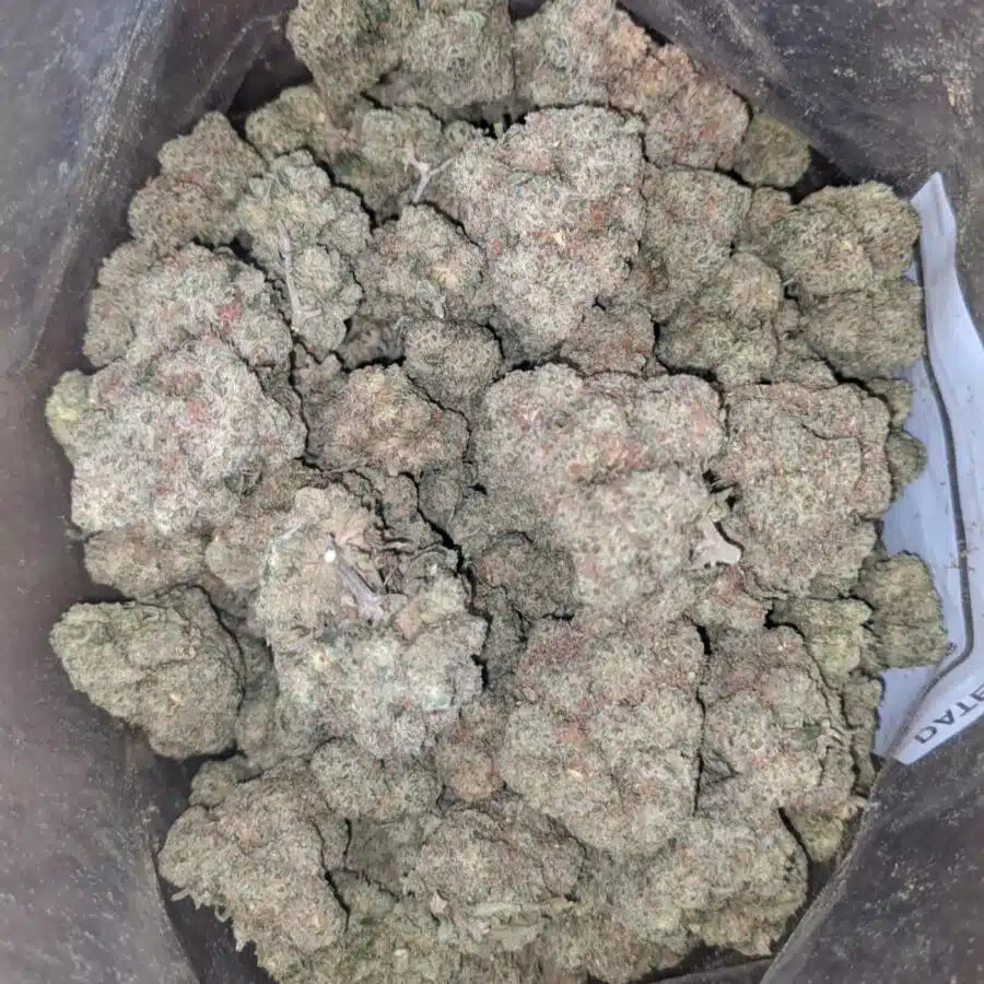 Tropical runtz 1 I $ 50 Oz - Tropical Runtz