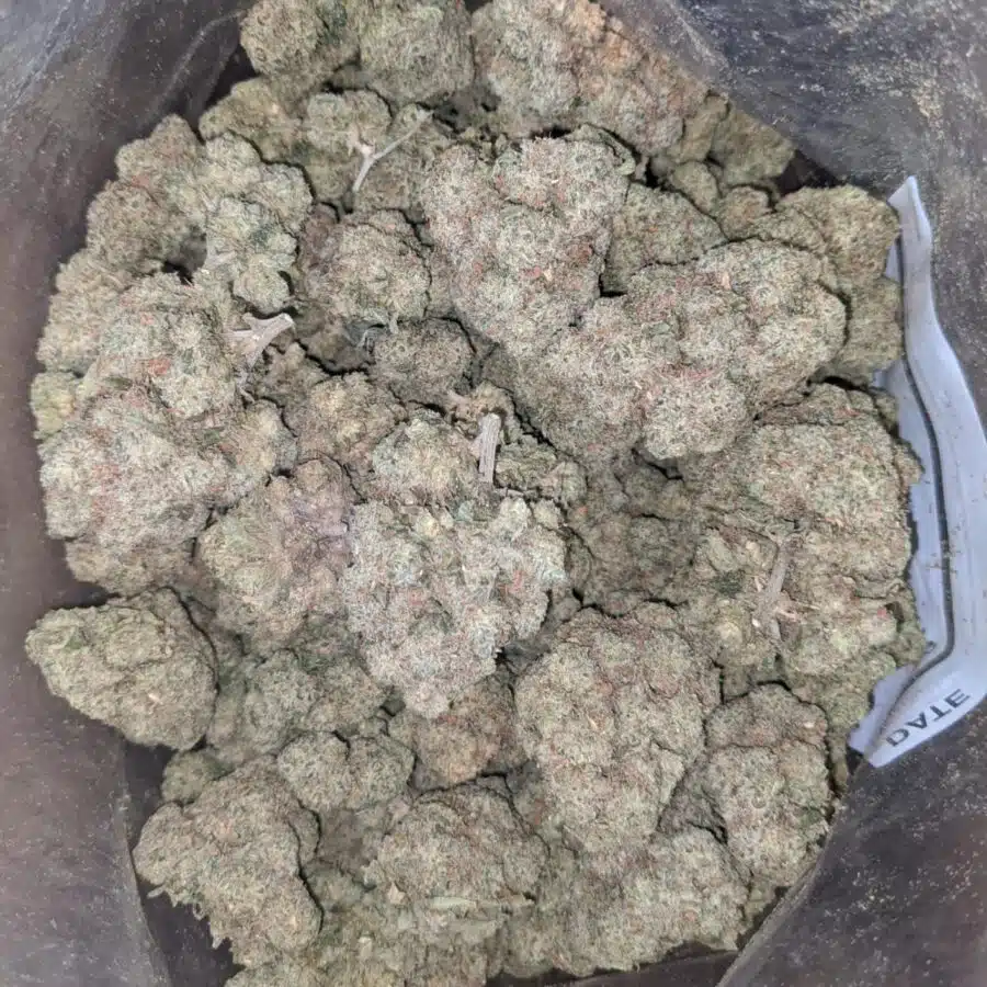 Tropical runtz 2 I $ 50 Oz - Tropical Runtz