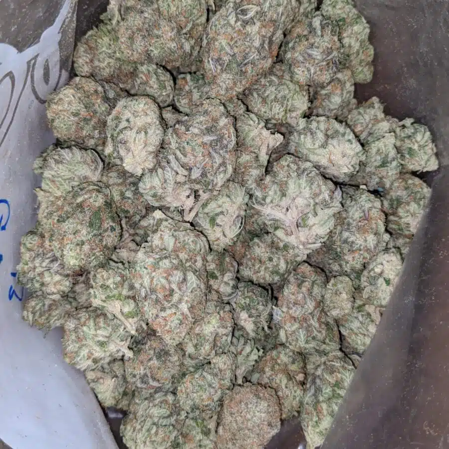 Wedding pie 1 I $ 48 Oz - Wedding Pie