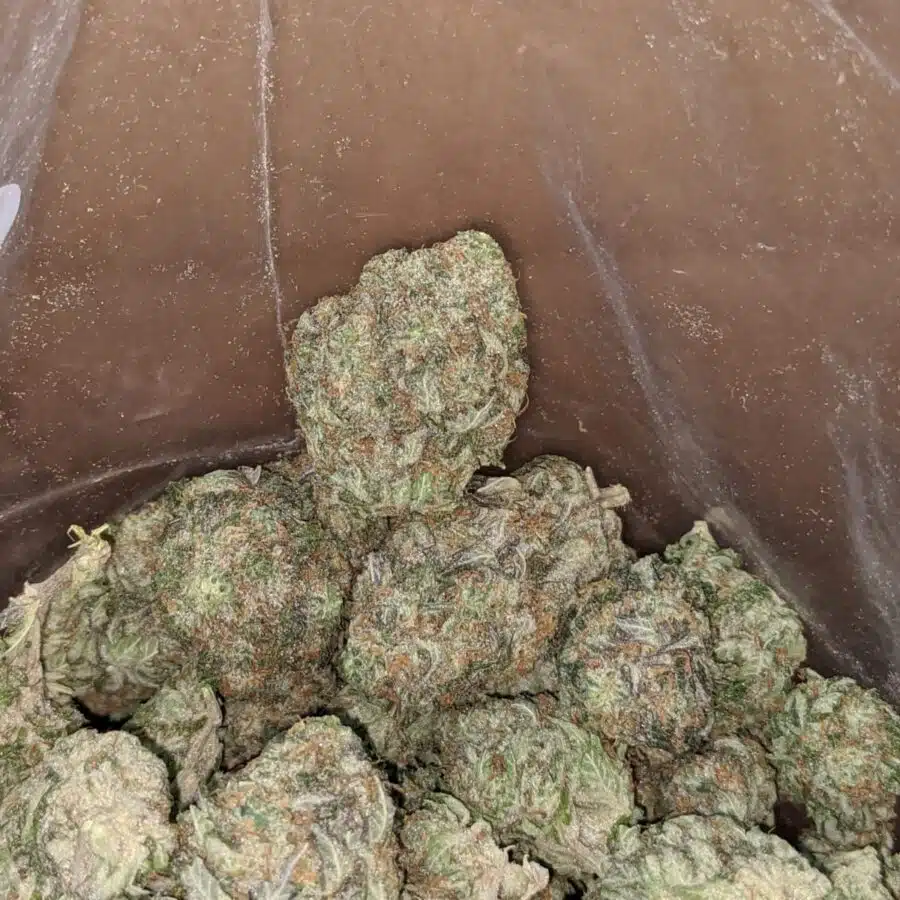 Wedding pie 3 I $ 48 Oz - Wedding Pie